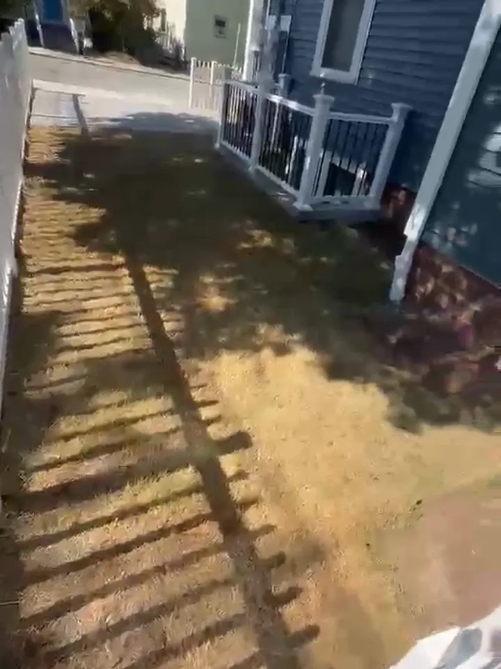 Gramado da frente depois do corte e da limpeza